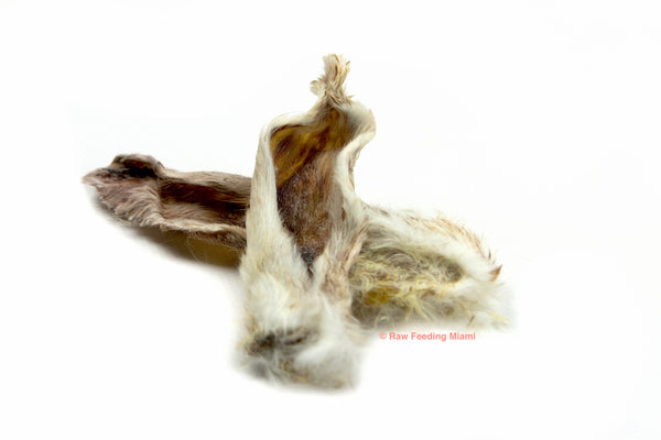 Dried rabbit 2025 ears with fur