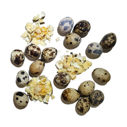 Freeze Dried Quail Eggs