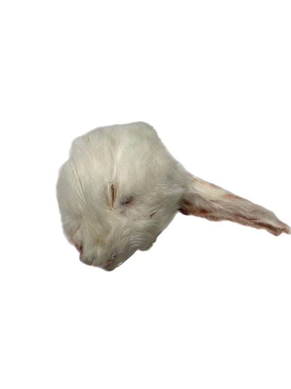 Freeze Dried Rabbit Heads