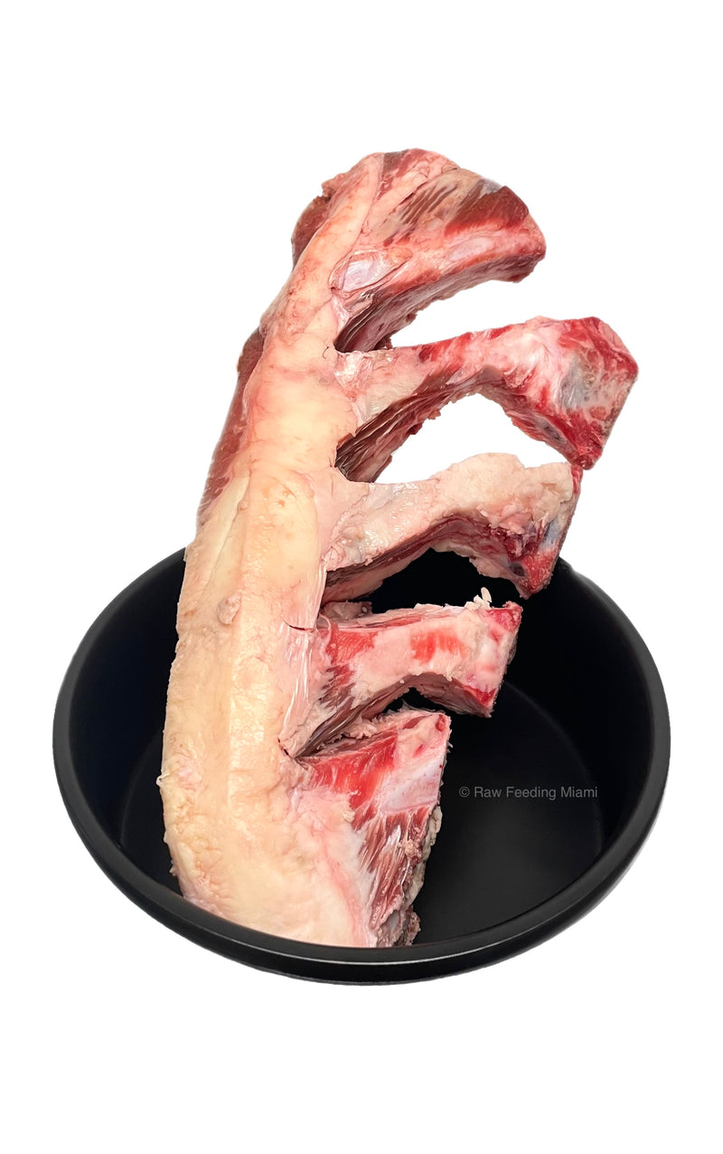 Beef Rib Bones