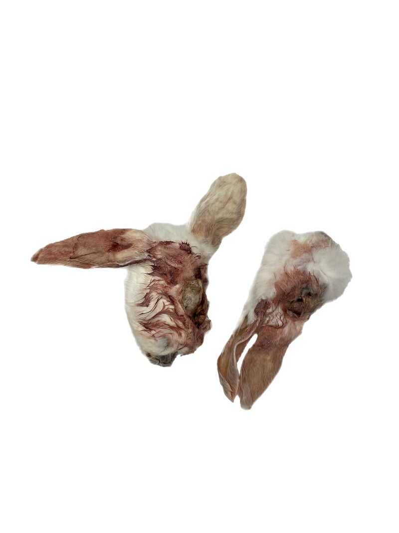 Freeze Dried Rabbit Heads