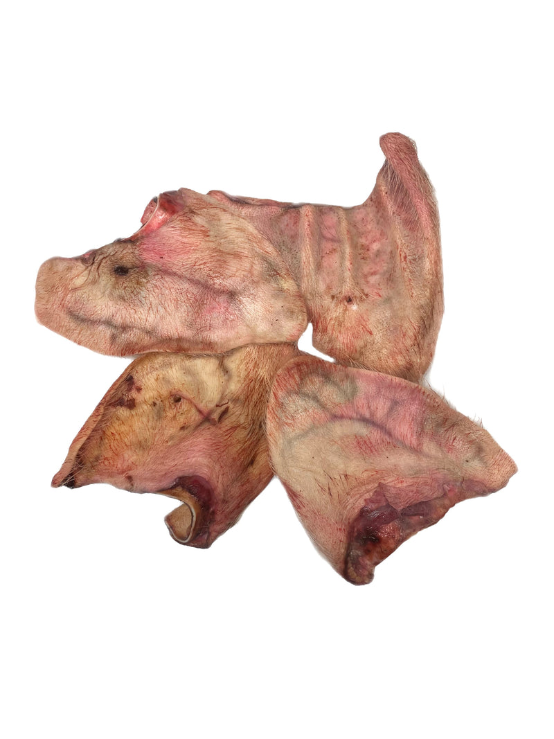 Raw Pig Ears