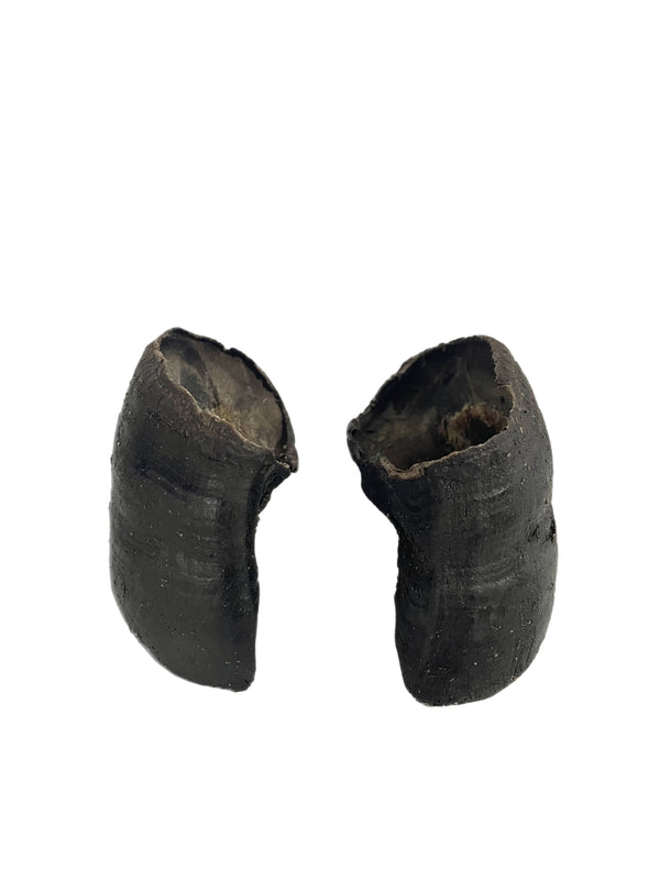 Pastured Cow Hooves