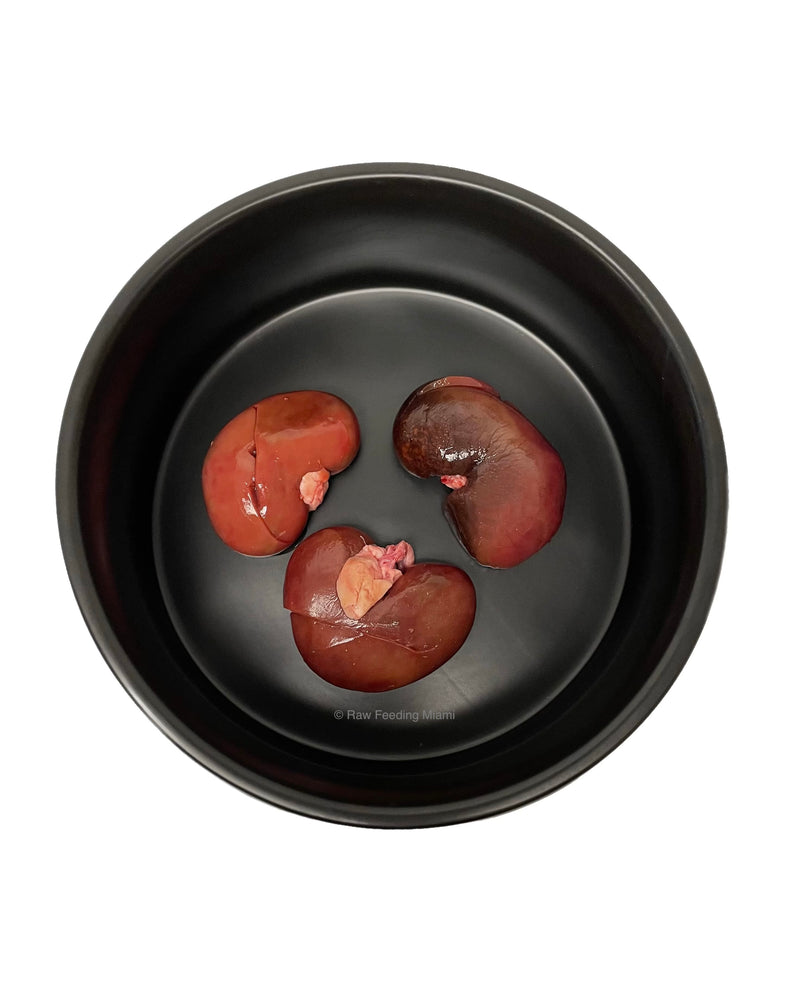 Lamb Kidney