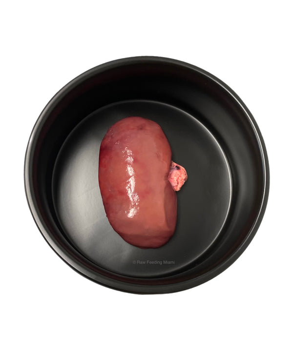 Pork Kidneys