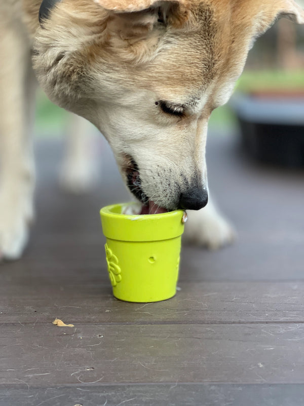 Flower Pot Treat Dispenser