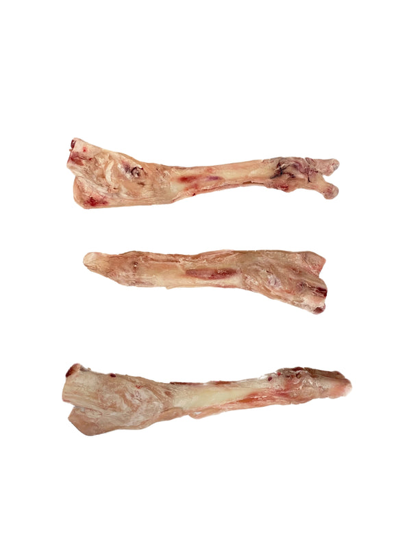 Lamb Femur Bones