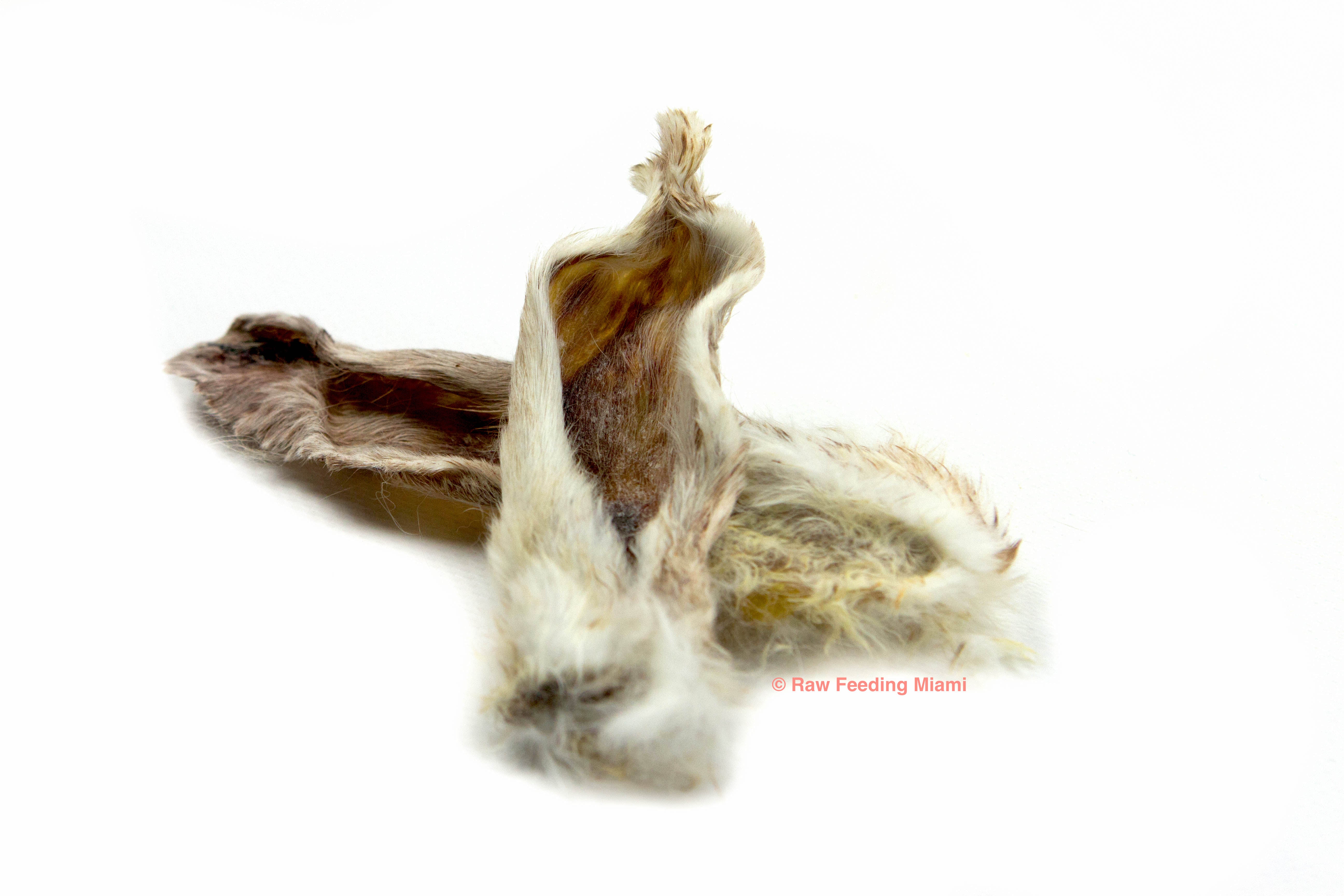 Dehydrated Rabbit Feet & Ears – Raw Feeding Miami