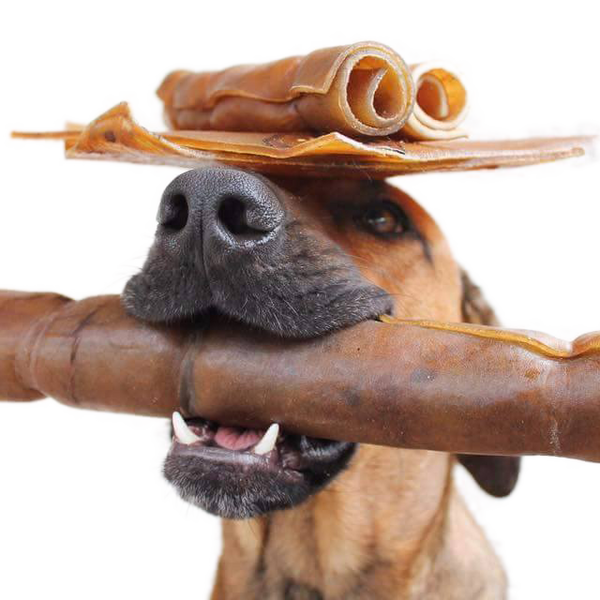 Natural rawhide sale bones for dogs